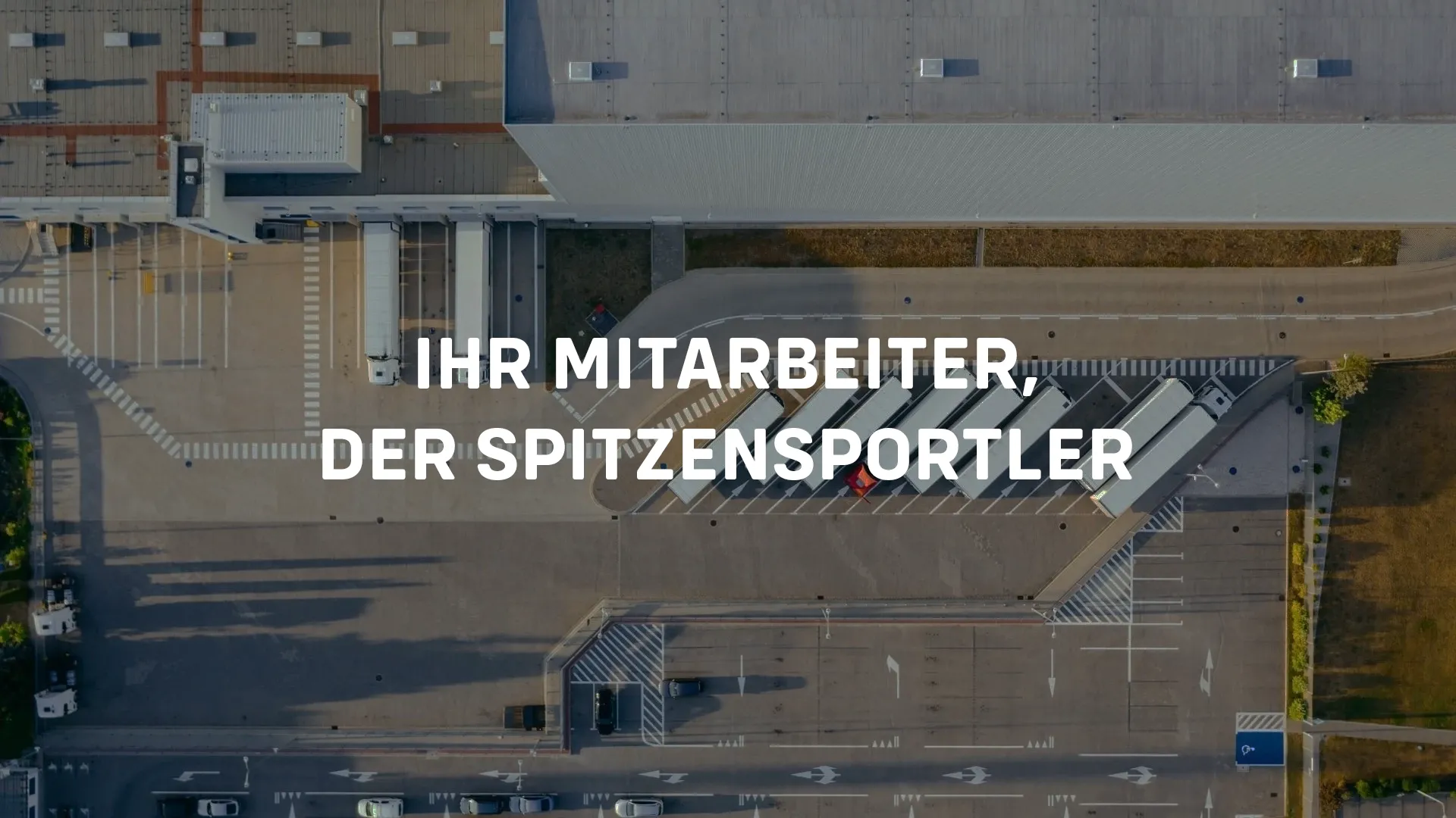 Viele Lastwagen welche die starke Kompetenz in diesem Bereich wiederspiegelt